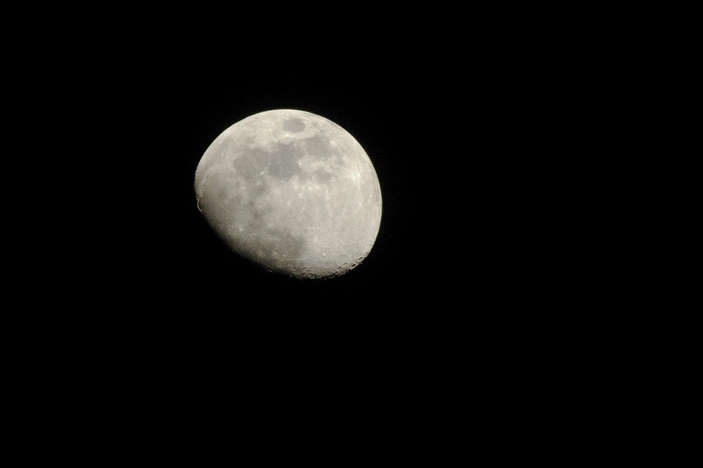 Moon Moon